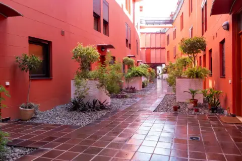 Piso en calle Jose Gómez Bosch 'Doctor'