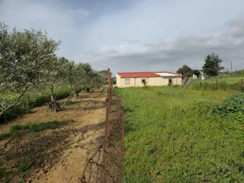 Finca rústica en Barrio Jarana
