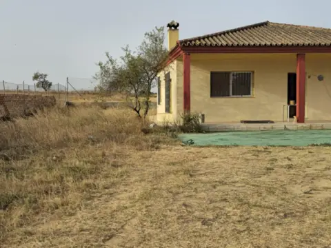 Finca rústica en Hospital Clínico