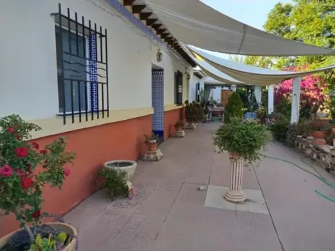 Finca rústica en El Molino 2