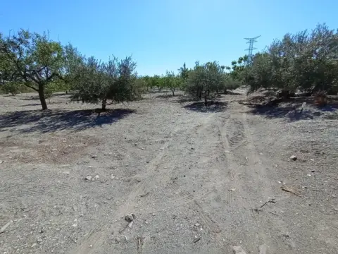 Terreno en Cabezo del Trigo