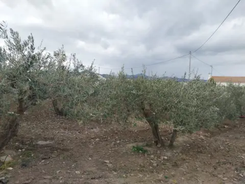 Finca rústica en calle La Escucha, Polg 144, Parcela 33