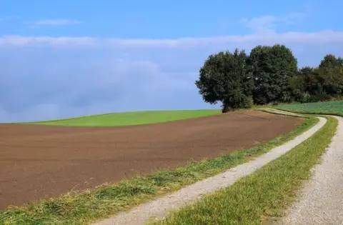 Terreno en Mozárbez