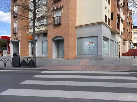 Local comercial en Avenida del Parque