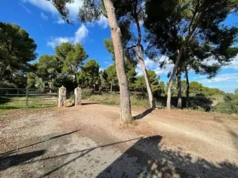 Terreno en calle del Pino