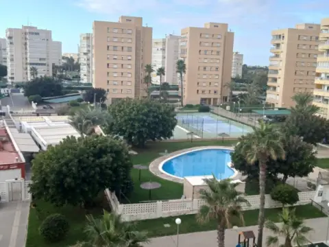 Apartamento en calle del Músico Agustín Bertomeu