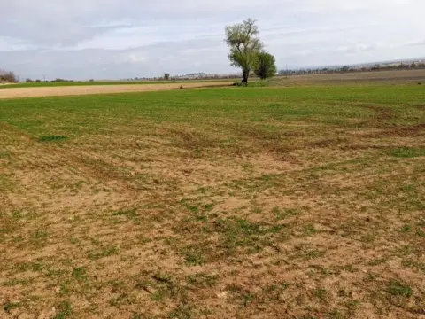 Terreno en calle Aldehuela