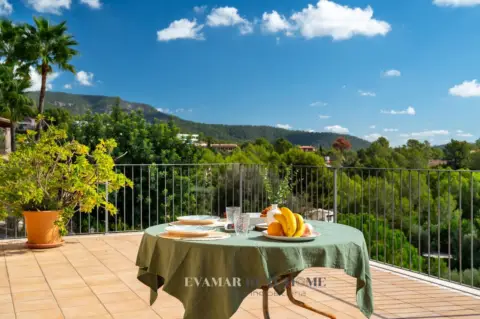 Chalet en Sa Coma