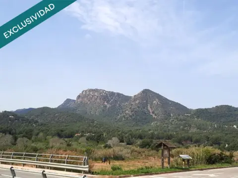 Finca rústica en Albalat dels Tarongers