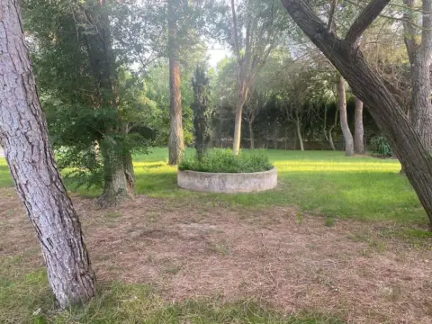 Finca rústica en calle Lugar Camino Real