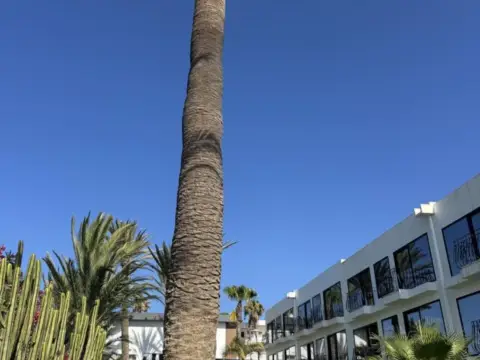 Local comercial en calle de los Dragos, 15