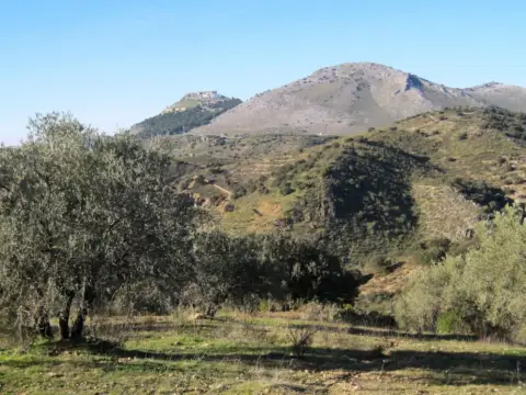 Terreno en Autovía A-92