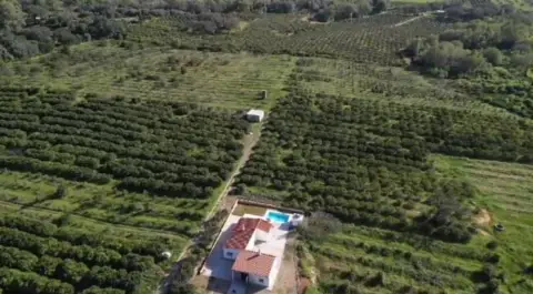 Terreno en Castellar de la Frontera