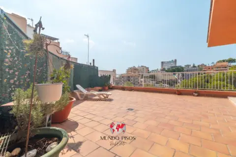 Piso en El Terreno