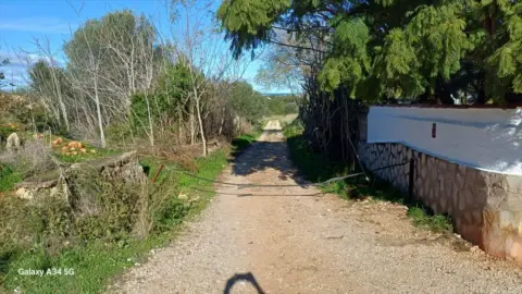 Terreno en Partida Plana d'Elies, 73