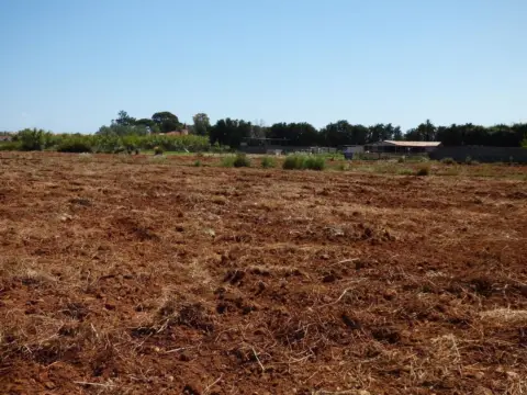 Terreno en Camino de La Plana, 36
