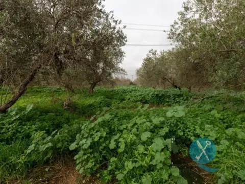 Finca rústica en Andalucia