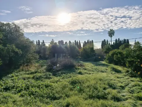 Finca rústica en Binissalem