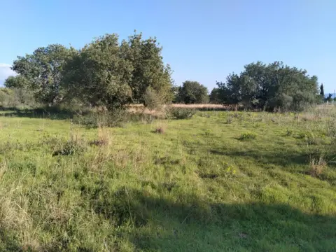 Finca rústica en Binissalem