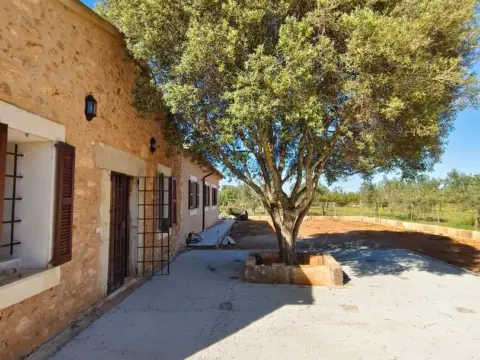 Finca rústica en Biniali