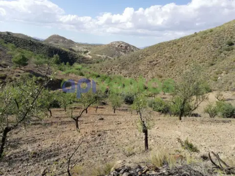 Finca rústica en Zarcilla de Ramos-Doña Inés