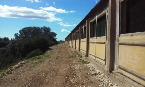 Nave industrial en calle Partida Les Covetes