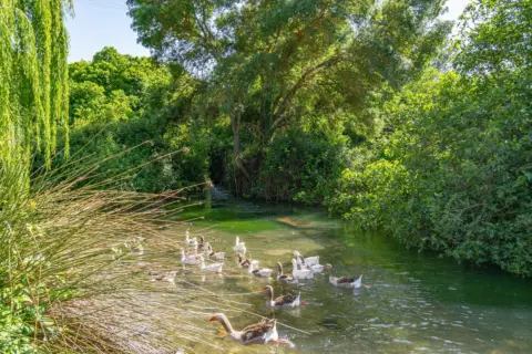 Casa en calle del Nacimiento, 14