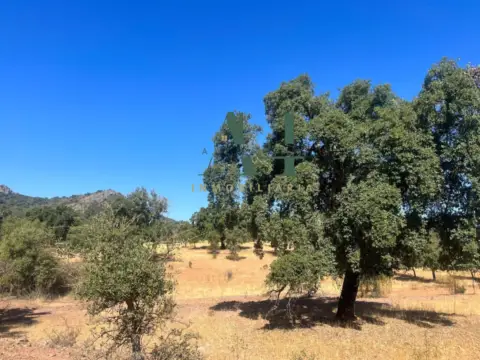 Finca rústica en Carretera de Merida
