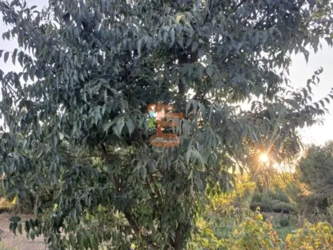 Terreno en Polígono 9 Parcela 101