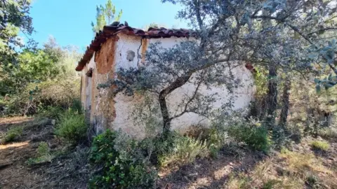 Rural Property in Castaño del Robledo