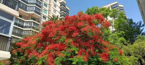 Apartamento en calle de Garcilaso de la Vega