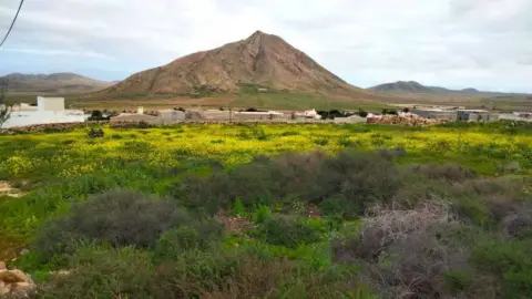 Terreno en calle de la Ladera