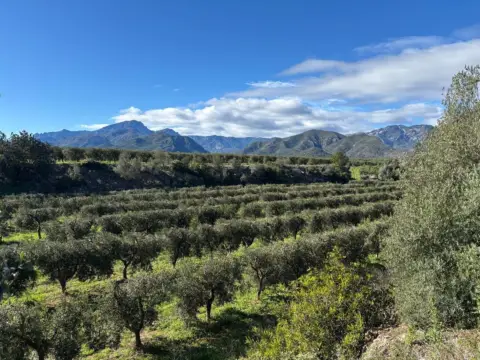 Finca rústica en Área de Xerta-Paüls