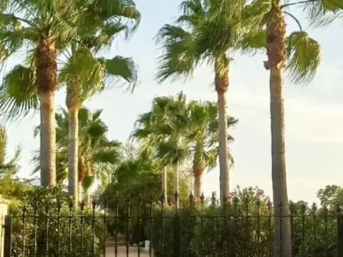 Finca rústica en Res.Juan Ramon Jimen