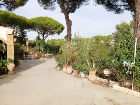 Finca rústica en Bonares