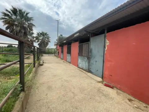 Finca rústica en Andalucia