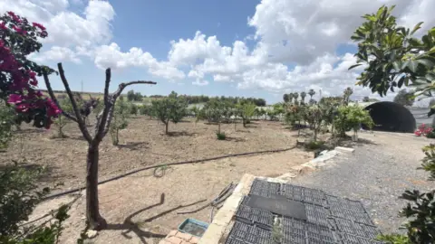 Terreno en La Ribera