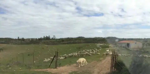 Finca rústica en Sin Zona