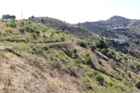 Terreno en Alora Pueblo