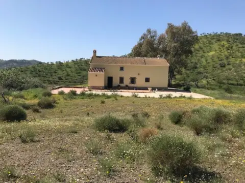 Terreno en Casabermeja Pueblo