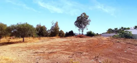 Terreno en El Madroñal