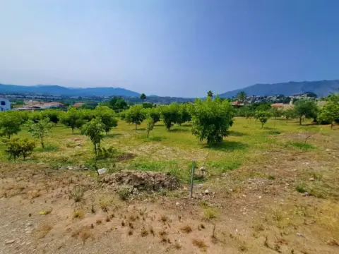 Finca rústica en Riviera del Sol