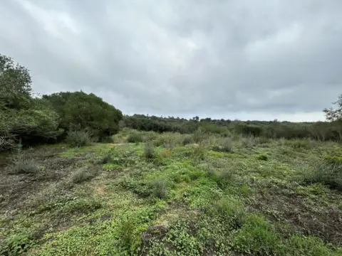 Terreno en Sotogrande Costa
