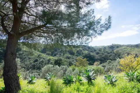 Finca rústica en Riviera del Sol