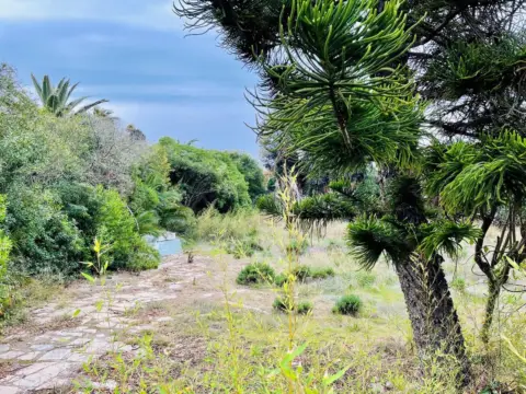 Terreno en Costa del Sol
