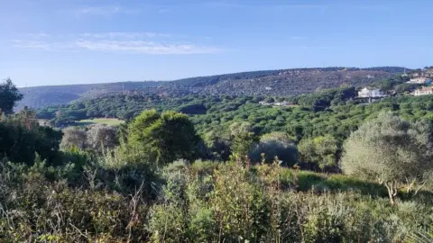 Terreno en Sotogrande - Alto