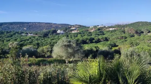 Terreno en Sotogrande - Alto