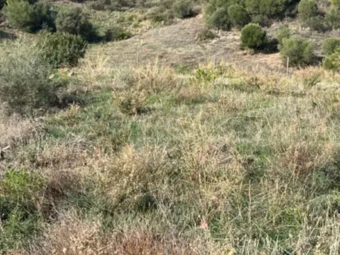 Terreno en Costa del Sol