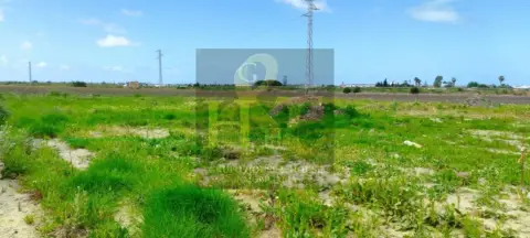 Terreno en Carretera de Chipiona