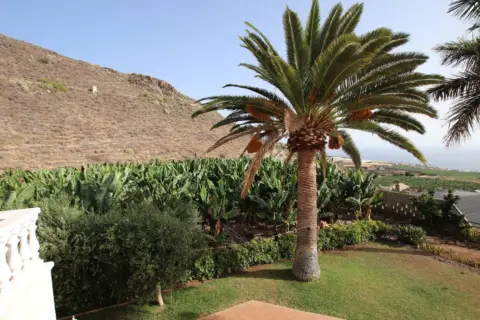 Finca rústica en calle los Gigantes
